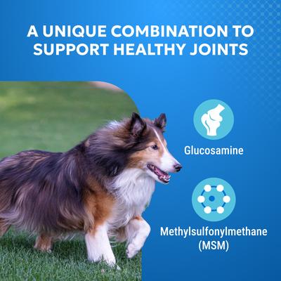 Show full view: Nutramax Cosequin Elements Joint Health Supplement with Glucosamine & MSM Chewable Tablet for Dogs, 75 count slide 5 of 13