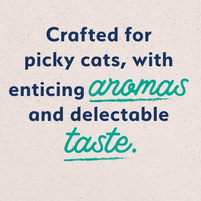 Show full view: Natural Balance Original Ultra Grain-Free Chicken Recipe Canned Cat Food, 5.5-oz can, case of 24 slide 10 of 10