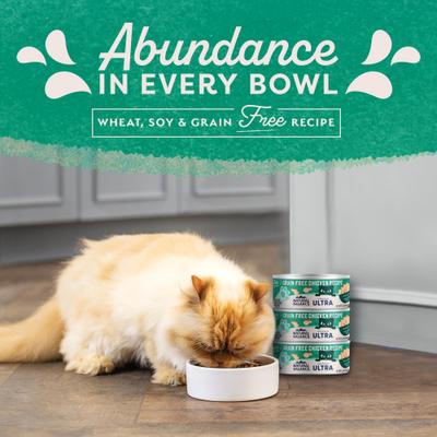 Show full view: Natural Balance Original Ultra Grain-Free Chicken Recipe Canned Cat Food, 5.5-oz can, case of 24 slide 6 of 10