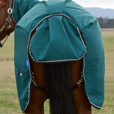 Show full view: WeatherBeeta ComFiTec Classic Combo Neck 360G Horse Turnout, Forest Green/Black, 81-in slide 8 of 9