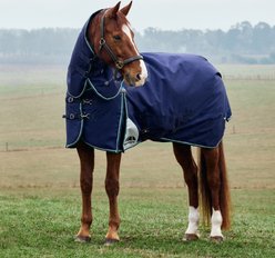 WeatherBeeta ComFiTec Plus Dynamic Detach-A-Neck 360G Horse Turnout, Navy/Forest Green, 81-in