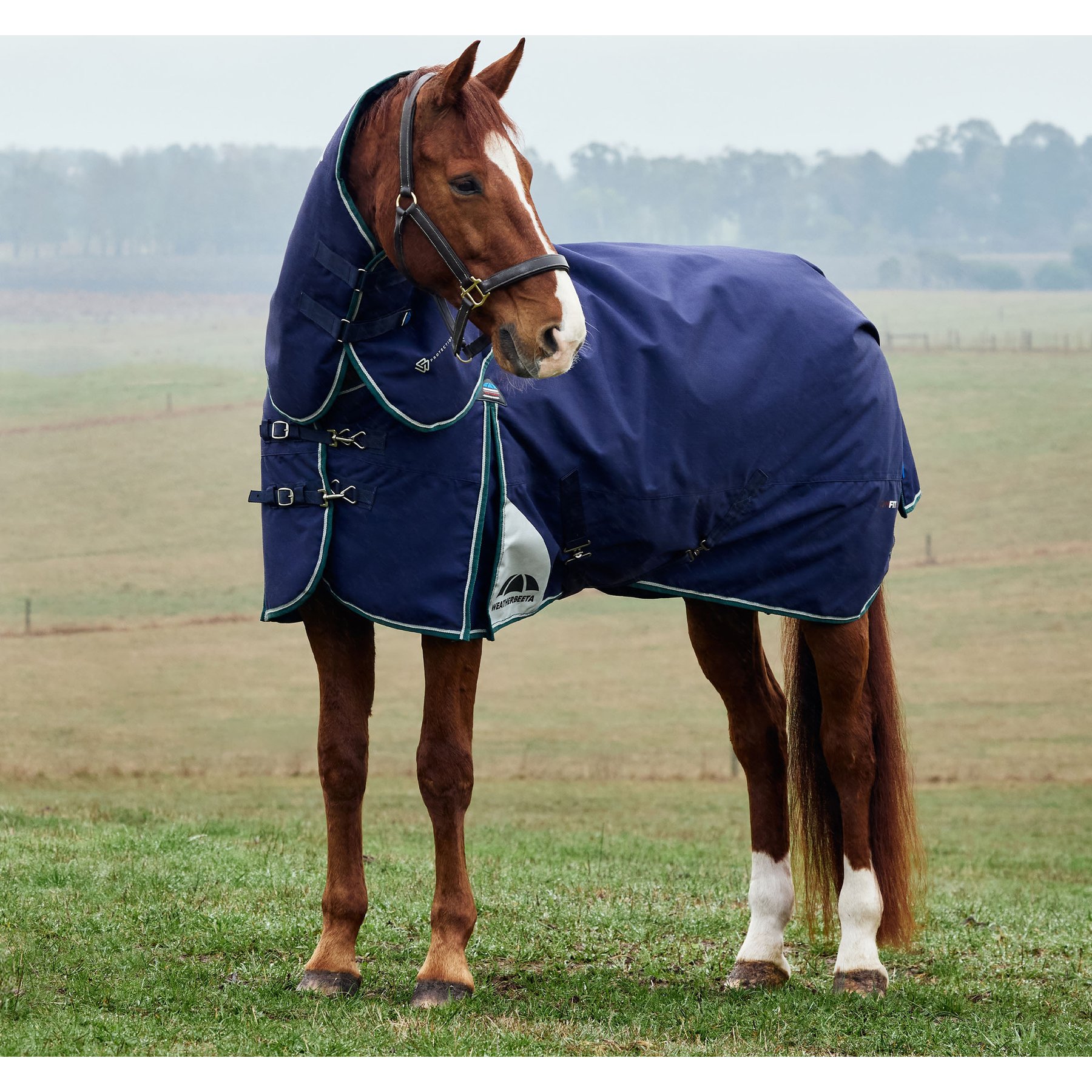 WeatherBeeta ComFiTec Plus Dynamic Detach-A-Neck 220G Horse Turnout, Navy/Forest Green, 69-in