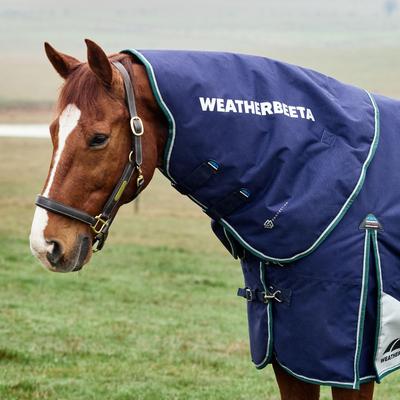 Show full view: WeatherBeeta ComFiTec Plus Dynamic Detach-A-Neck 360G Horse Turnout, Navy/Forest Green, 81-in slide 4 of 8