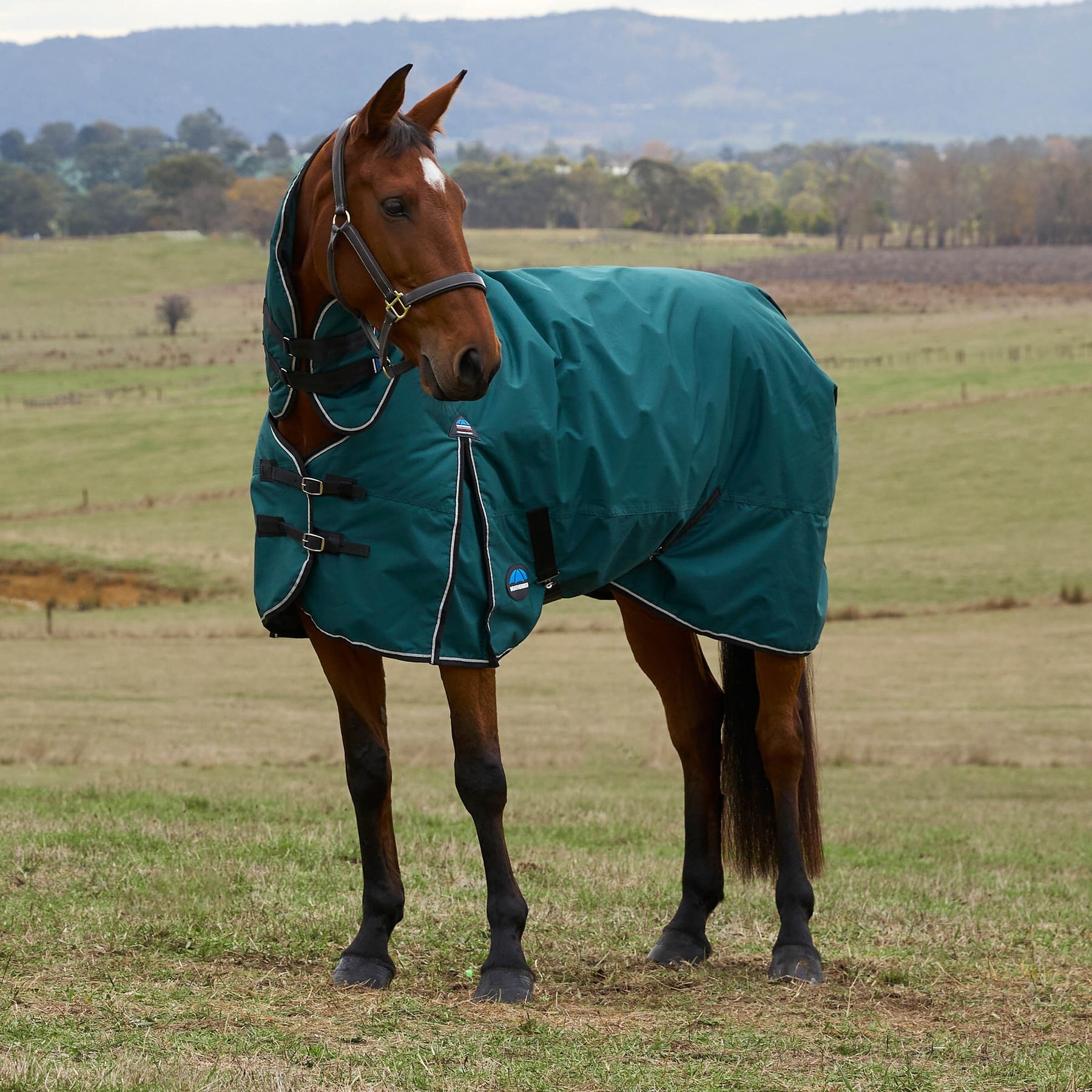 WeatherBeeta ComFiTec Classic Combo Neck 0G Horse Turnout, Forest Green/Black, 60-in