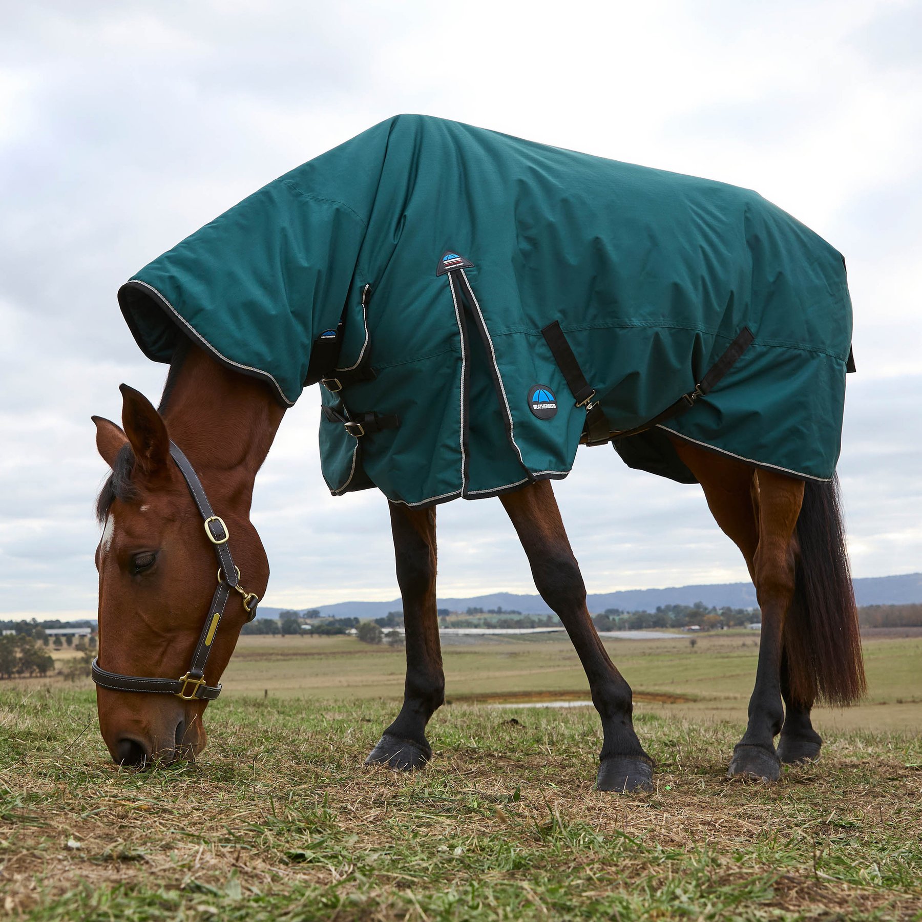 WeatherBeeta ComFiTec Classic Combo Neck 220G Horse Turnout, Forest Green/Black, 75-in
