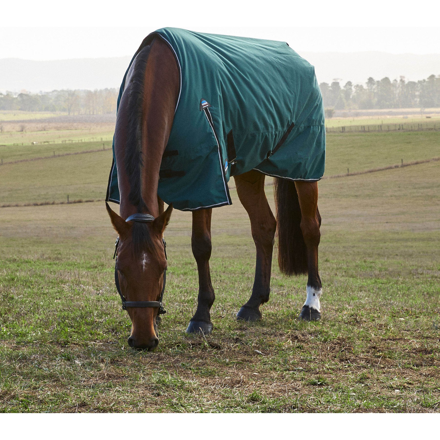 WeatherBeeta ComFiTec Classic Standard Neck 220G Horse Turnout, Forest Green/Black, 75-in