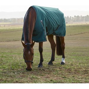 WeatherBeeta ComFiTec Classic Standard Neck 220G Horse Turnout, Forest Green/Black, 66-in