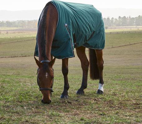 Show full view: WeatherBeeta ComFiTec Classic Standard Neck 0G Horse Turnout, Forest Green/Black, 75-in slide 2 of 9