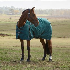 WeatherBeeta ComFiTec Classic Standard Neck 0G Horse Turnout, Forest Green/Black, 75-in