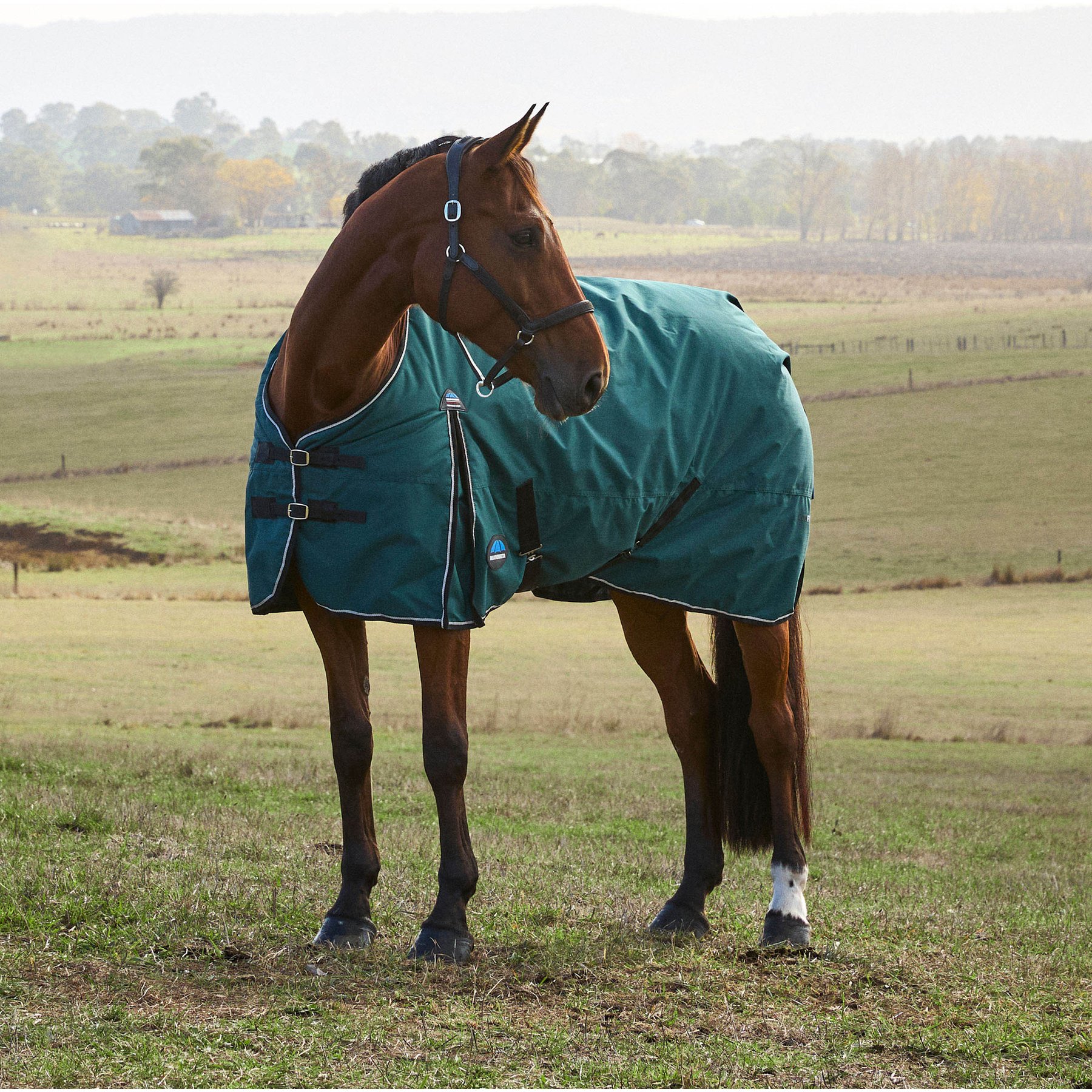 WeatherBeeta ComFiTec Classic Standard Neck 0G Horse Turnout, Forest Green/Black, 75-in