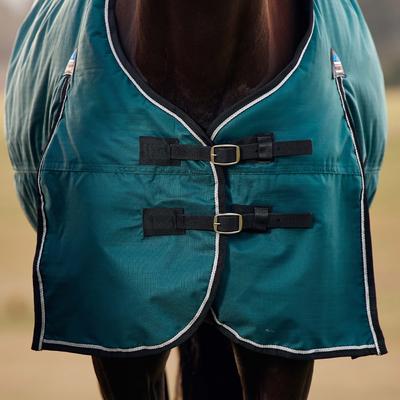 Show full view: WeatherBeeta ComFiTec Classic Standard Neck 220G Horse Turnout, Forest Green/Black, 66-in slide 3 of 9