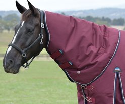 WeatherBeeta ComFiTec Essential Neck Cover 0G Horse Turnout, Burgundy/Navy, Small