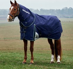 WeatherBeeta ComFiTec Plus Dynamic Detach-A-Neck 0G Horse Turnout, Navy/Forest Green, 78-in