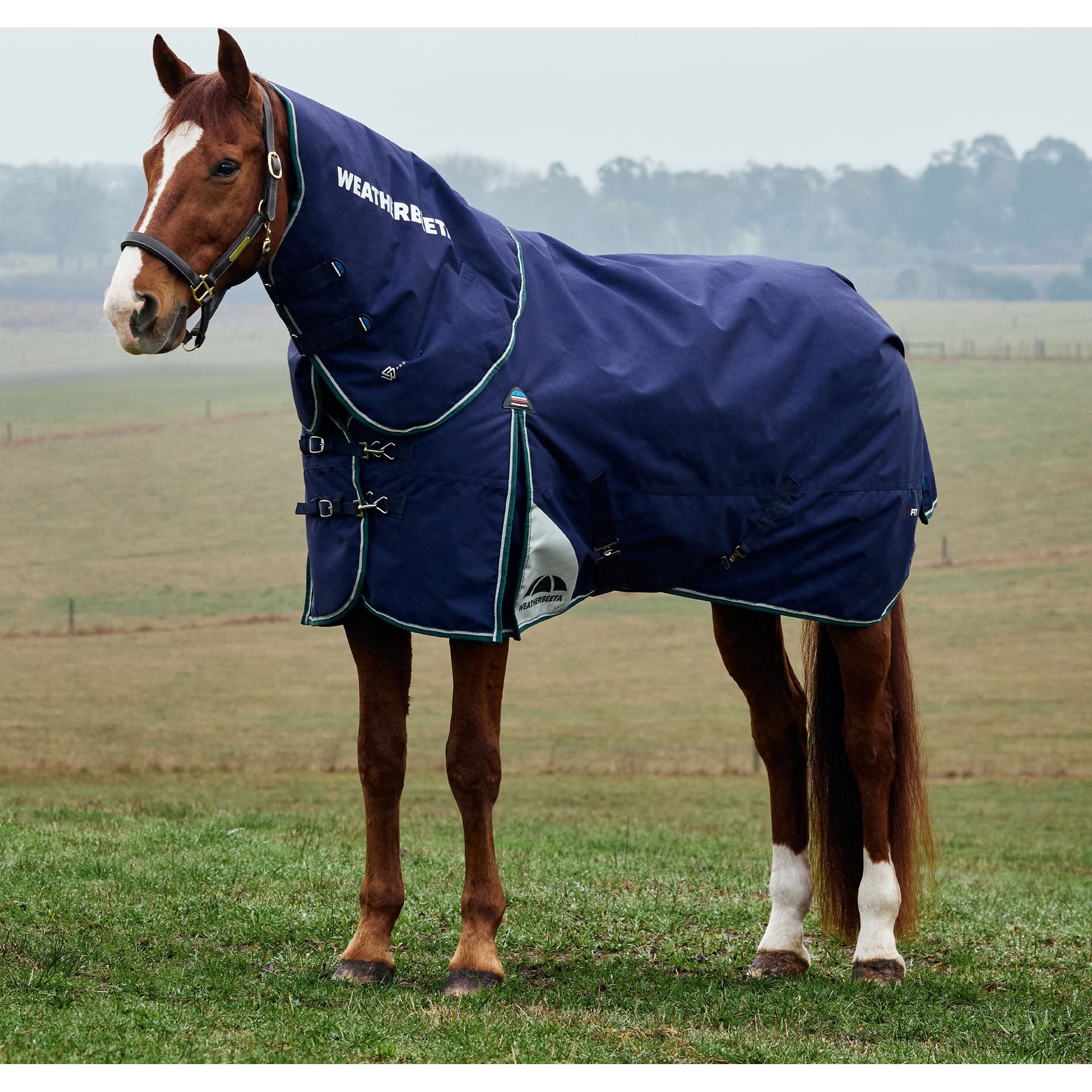 WeatherBeeta ComFiTec Plus Dynamic Detach-A-Neck 0G Horse Turnout, Navy/Forest Green, 84-in