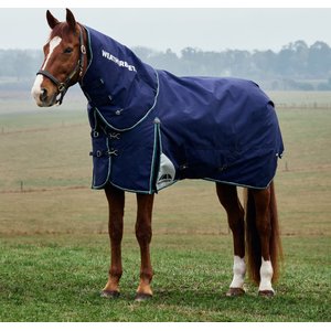 WeatherBeeta ComFiTec Plus Dynamic Detach-A-Neck 0G Horse Turnout, Navy/Forest Green, 81-in