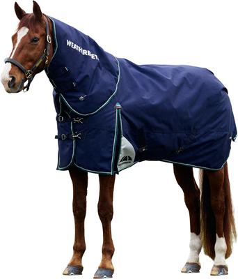 Show full view: WeatherBeeta ComFiTec Plus Dynamic Detach-A-Neck 360G Horse Turnout, Navy/Forest Green, 81-in slide 8 of 8