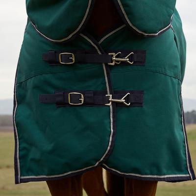 Show full view: WeatherBeeta ComFiTec Plus Dynamic Detach-A-Neck 360G Horse Turnout, Forest Green/Navy, 84-in slide 3 of 9