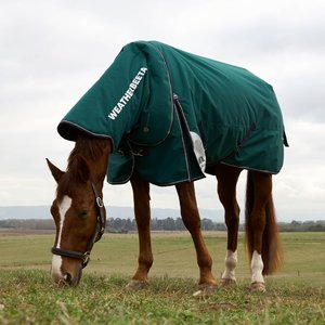 WeatherBeeta ComFiTec Plus Dynamic Detach-A-Neck 220G Horse Turnout, Forest Green/Navy, 84-in