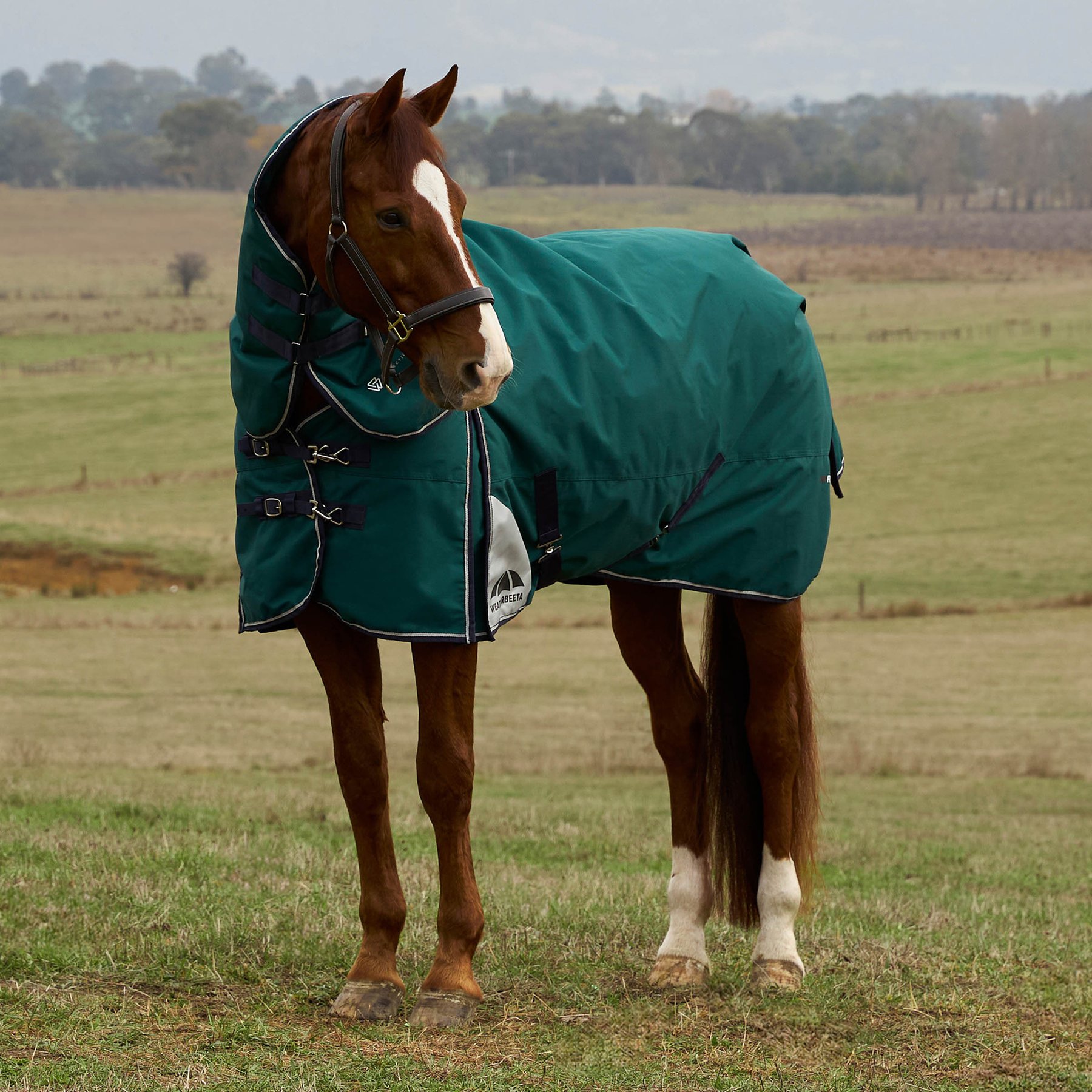WeatherBeeta ComFiTec Plus Dynamic Detach-A-Neck 360G Horse Turnout, Forest Green/Navy, 84-in