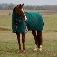 WeatherBeeta ComFiTec Plus Dynamic Detach-A-Neck 0G Horse Turnout, Forest Green/Navy, 72-in