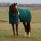 Show in main carousel: WeatherBeeta ComFiTec Plus Dynamic Detach-A-Neck 360G Horse Turnout, Forest Green/Navy, 84-in slide 1 of 9
