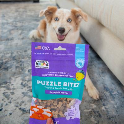 Show full view: Outward Hound by Nina Ottosson Puzzle Bitez Pumpkin Flavored Dog Treats, 7.5-oz bag slide 9 of 10