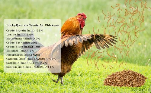 Show full view: LuckyQworms Dried Mealworms Chicken Bird & Fish Treats, 20-lb bag slide 4 of 4