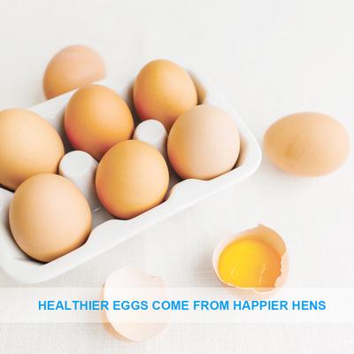 Show full view: LuckyQworms Dried Mealworms Chicken Bird & Fish Treats, 20-lb bag slide 3 of 4