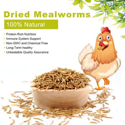 Show full view: LuckyQworms Dried Mealworms Chicken Bird & Fish Treats, 10-lb bag slide 4 of 4