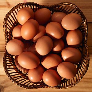 Show full view: LuckyQworms Dried Mealworms Chicken Bird & Fish Treats, 5-lb bag slide 3 of 5