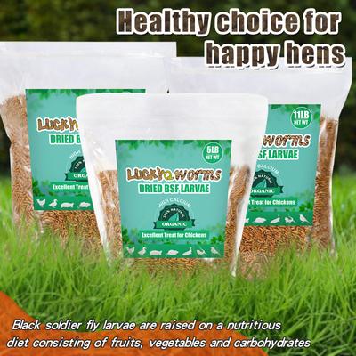 Show full view: LuckyQworms Non-GMO Dried Black Soldier Fly Larvae Chicken & Small Animal Treats, 5-lb bag slide 8 of 8