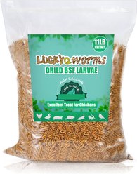 LuckyQworms Non-GMO Dried Black Soldier Fly Larvae Chicken & Small Animal Treats, 11-lb bag