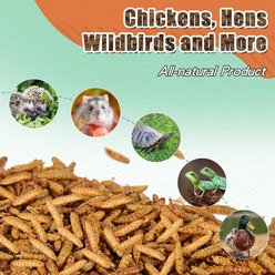 LuckyQworms Non-GMO Dried Black Soldier Fly Larvae Chicken & Small Animal Treats, 5-lb bag slide 2 of 8