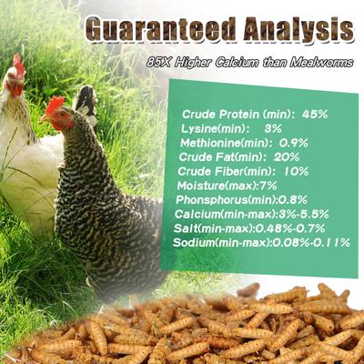 Show full view: LuckyQworms Non-GMO Dried Black Soldier Fly Larvae Chicken & Small Animal Treats, 5-lb bag slide 7 of 8