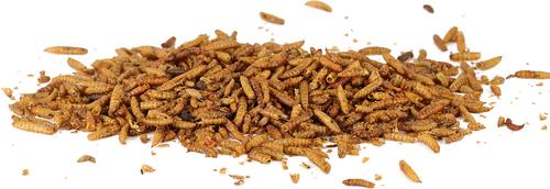 Show full view: LuckyQworms Non-GMO Dried Black Soldier Fly Larvae Chicken & Small Animal Treats, 5-lb bag slide 5 of 8
