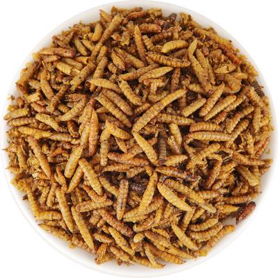 Show full view: LuckyQworms Non-GMO Dried Black Soldier Fly Larvae Chicken & Small Animal Treats, 5-lb bag slide 3 of 8