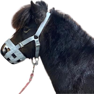 Show full view: Best Friend Grazemore Grazing Horse Muzzle, Cob slide 2 of 5