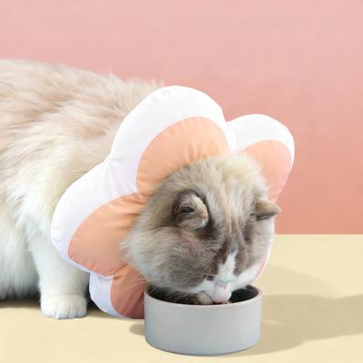 Show full view: Happy & Polly Protective Recovery Cone Cat Collar, Pink, Small slide 5 of 10