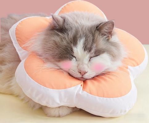 Show full view: Happy & Polly Protective Recovery Cone Cat Collar, Pink, Small slide 4 of 10