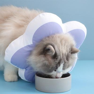 Show full view: Happy & Polly Protective Recovery Cone Cat Collar, Purple, Large slide 3 of 10