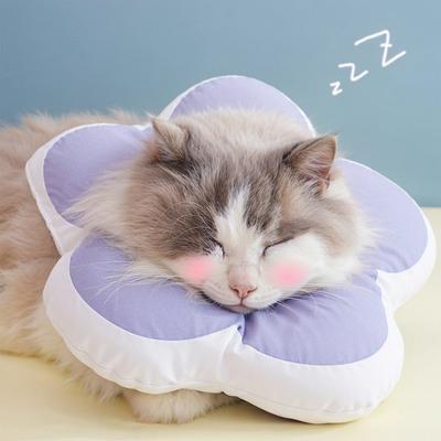 Show full view: Happy & Polly Protective Recovery Cone Cat Collar, Purple, Large slide 5 of 10