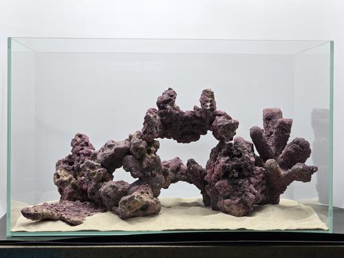 Show full view: CaribSea LifeRock Dreamscapes Assortment Box Saltwater Aquarium Rock, Natural, 15 to 25-gal slide 4 of 4