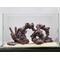 Show in main carousel: CaribSea LifeRock Dreamscapes Assortment Box Saltwater Aquarium Rock, Natural, 15 to 25-gal slide 3 of 4