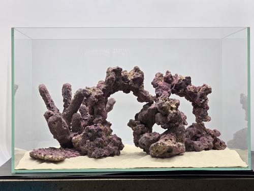 Show full view: CaribSea LifeRock Dreamscapes Assortment Box Saltwater Aquarium Rock, Natural, 15 to 25-gal slide 3 of 4