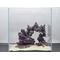 Show in main carousel: CaribSea LifeRock Dreamscapes Assortment Box Saltwater Aquarium Rock, Natural, 5 to 15-gal slide 3 of 6