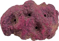 CaribSea LifeRock Frag Garden 5 Hole Saltwater Aquarium Rock, Natural