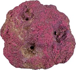 CaribSea LifeRock Frag Garden 3 Hole Saltwater Aquarium Rock, Natural
