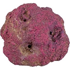 CaribSea LifeRock Frag Garden 3 Hole Saltwater Aquarium Rock, Natural