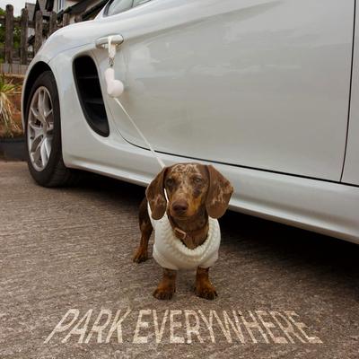 Show full view: Maison FurRéal ChocoLéash Ultra Lightweight Retractable Dog Leash, Cashmere Beige, 9-ft long, 1.75-in wide slide 4 of 11