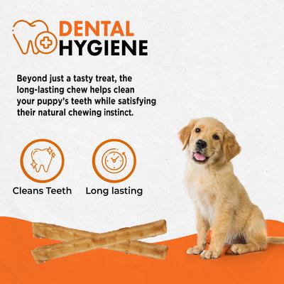 Show full view: Canine Naturals Hide-Free Puppy Sticks Chicken Dog Treat, 40 count slide 7 of 11